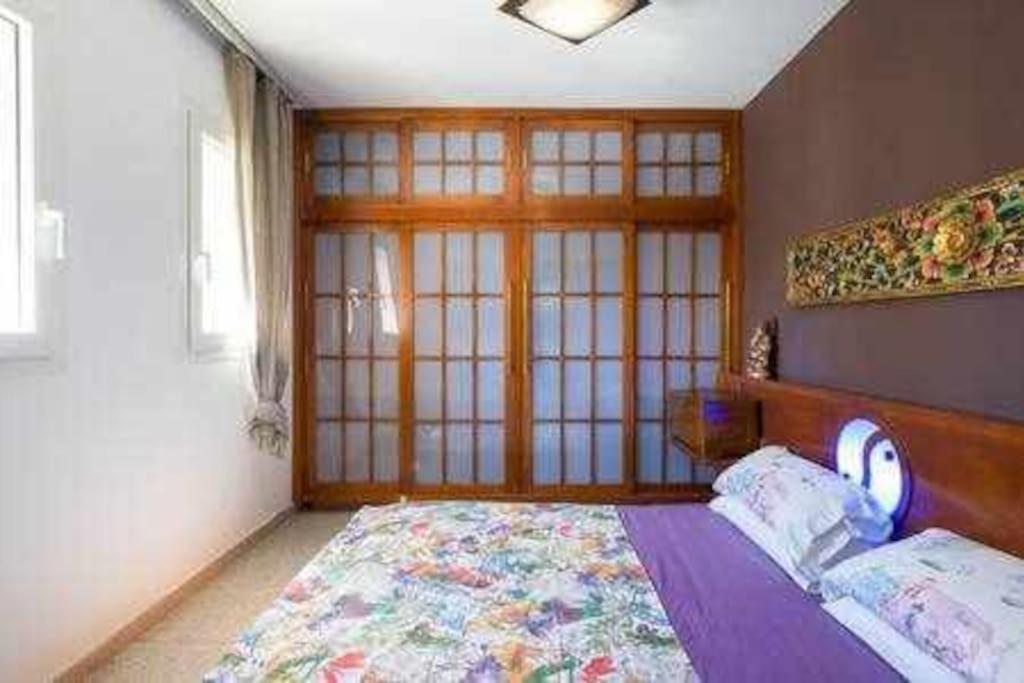 Albatros 1l Tres Apartamento